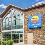 Comfort Inn Downtown