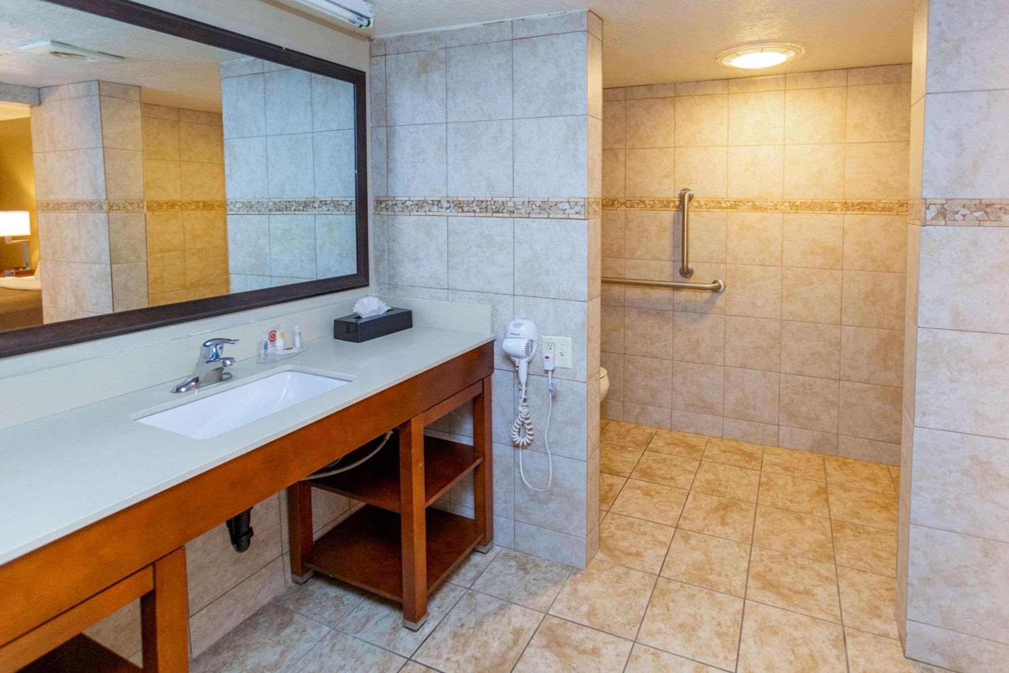 Comfort Downtown Inn