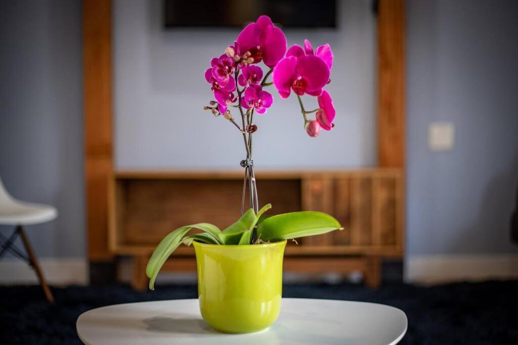 Adorable & Pet Friendly-close To U And Downtown! Salt Lake City
