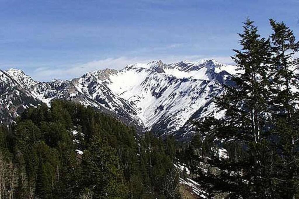 Apartment New Distinctive Historical Unit From 5 Star Host Salt Lake City