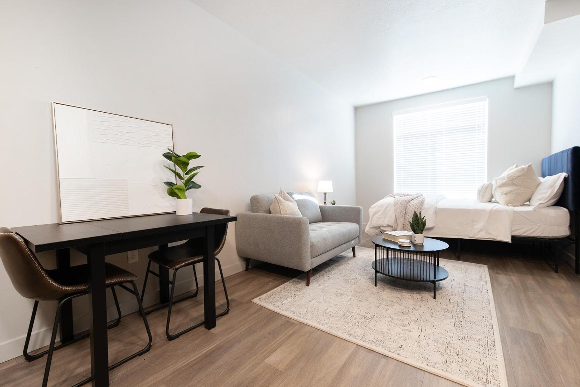 Luxury In Downtown Slc Apartment