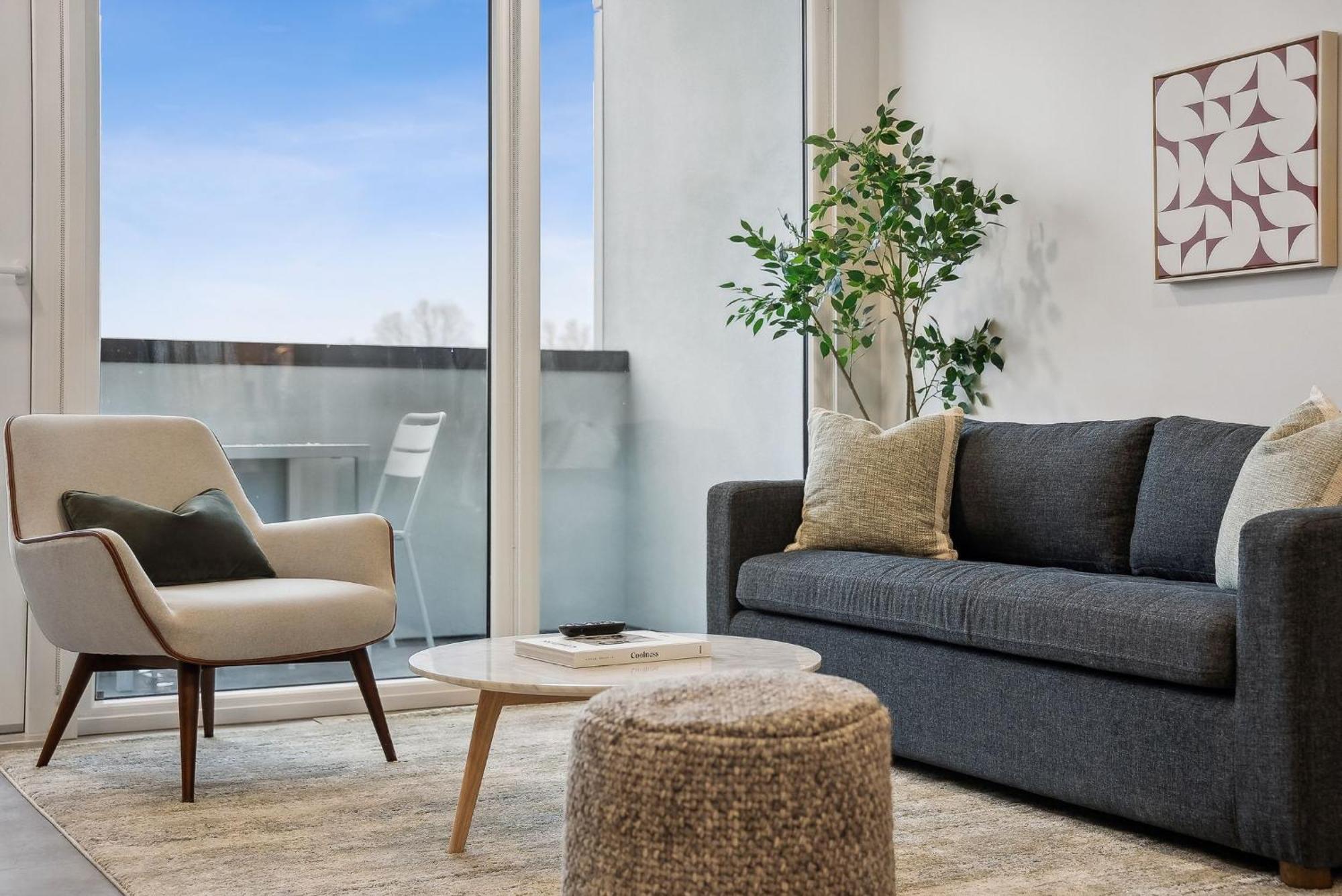 Placemakr Salt *