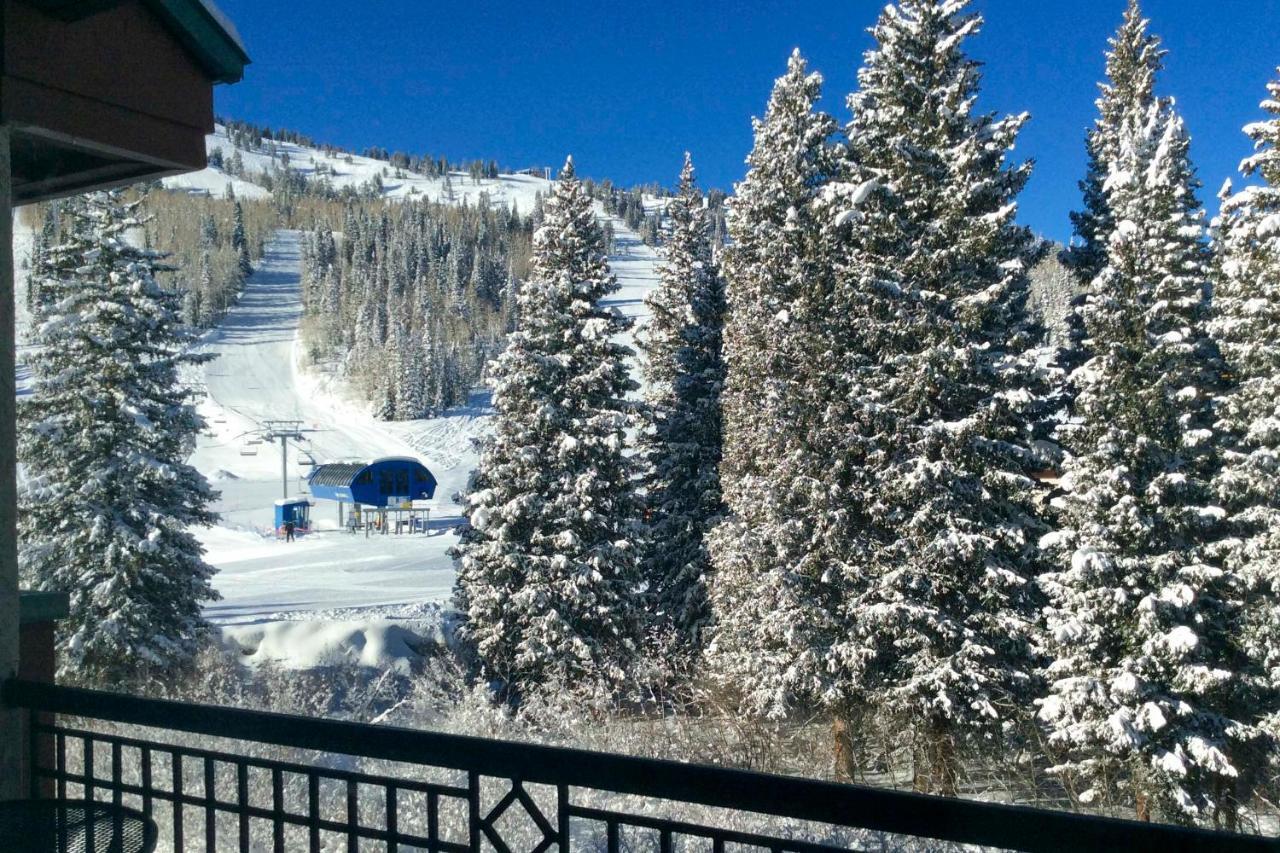 Apartment Ski-inandski-out Solitude With Rooftop Hot Tub!