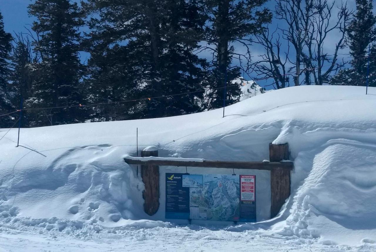 Ski-inandski-out Solitude With Rooftop Hot Tub! Apartment *
