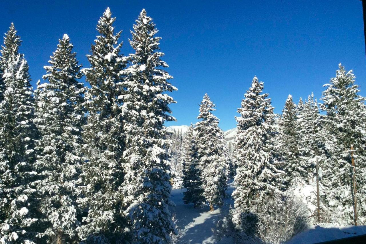Ski-inandski-out Solitude With Rooftop Hot Tub! Apartment