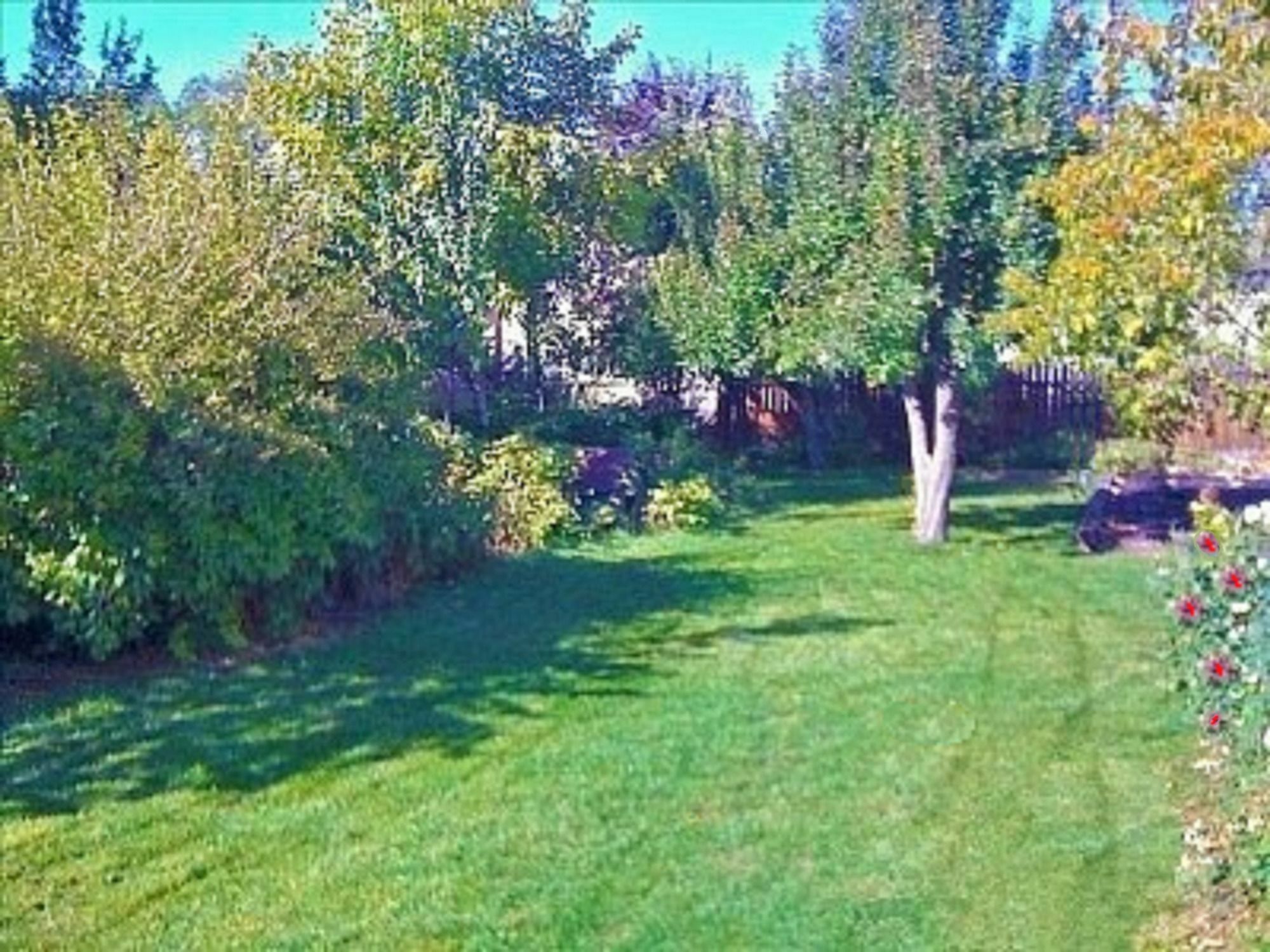 Holiday home Downtown With A Big Back Yard *